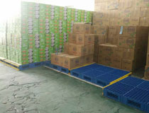 貨物倉儲(chǔ)墊倉板 聯(lián)鎖式倉庫托盤墊板 鎖扣式倉庫墊倉板 大面整體鋪設(shè)